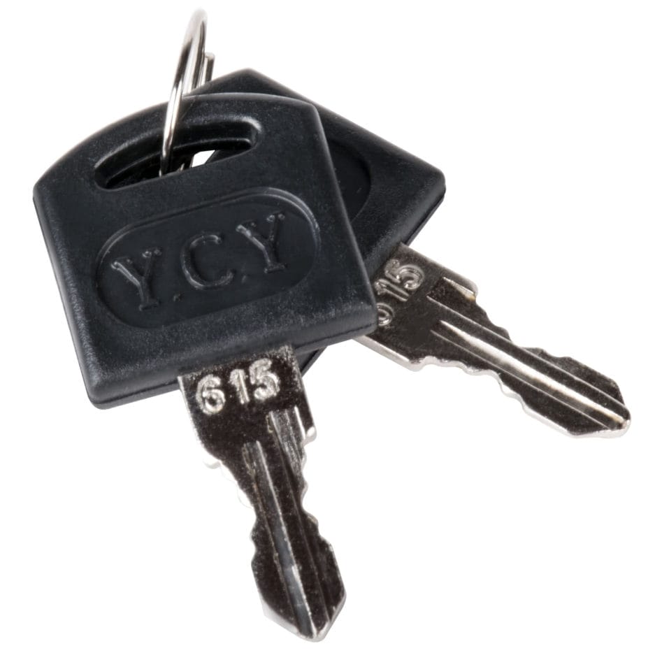 Two keys with black plastic headgear with the inscription "Wine climate cabinet (40 bottles, multi zones, 84cm height)" on a key ring, isolated on a white background.