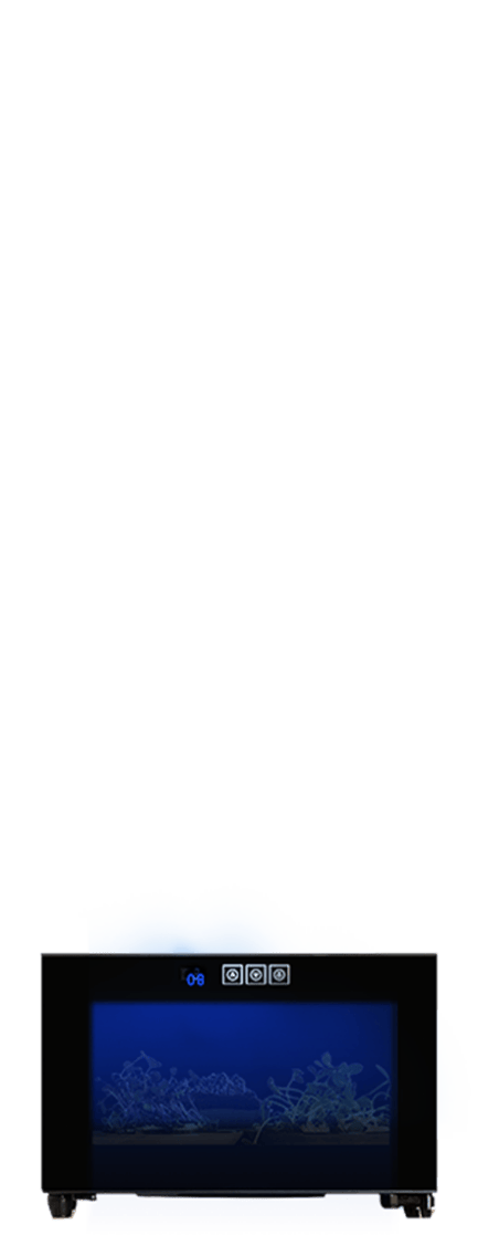 Een Kruiden klimaatkast (25 liter) met planken waarop kruiden liggen op een temperatuur van 8 graden.