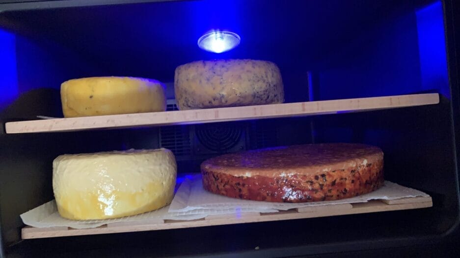 Trois meules de fromage affinées sur planches de bois dans une enceinte climatique Fromage (25 litres + deux planches à fromage).