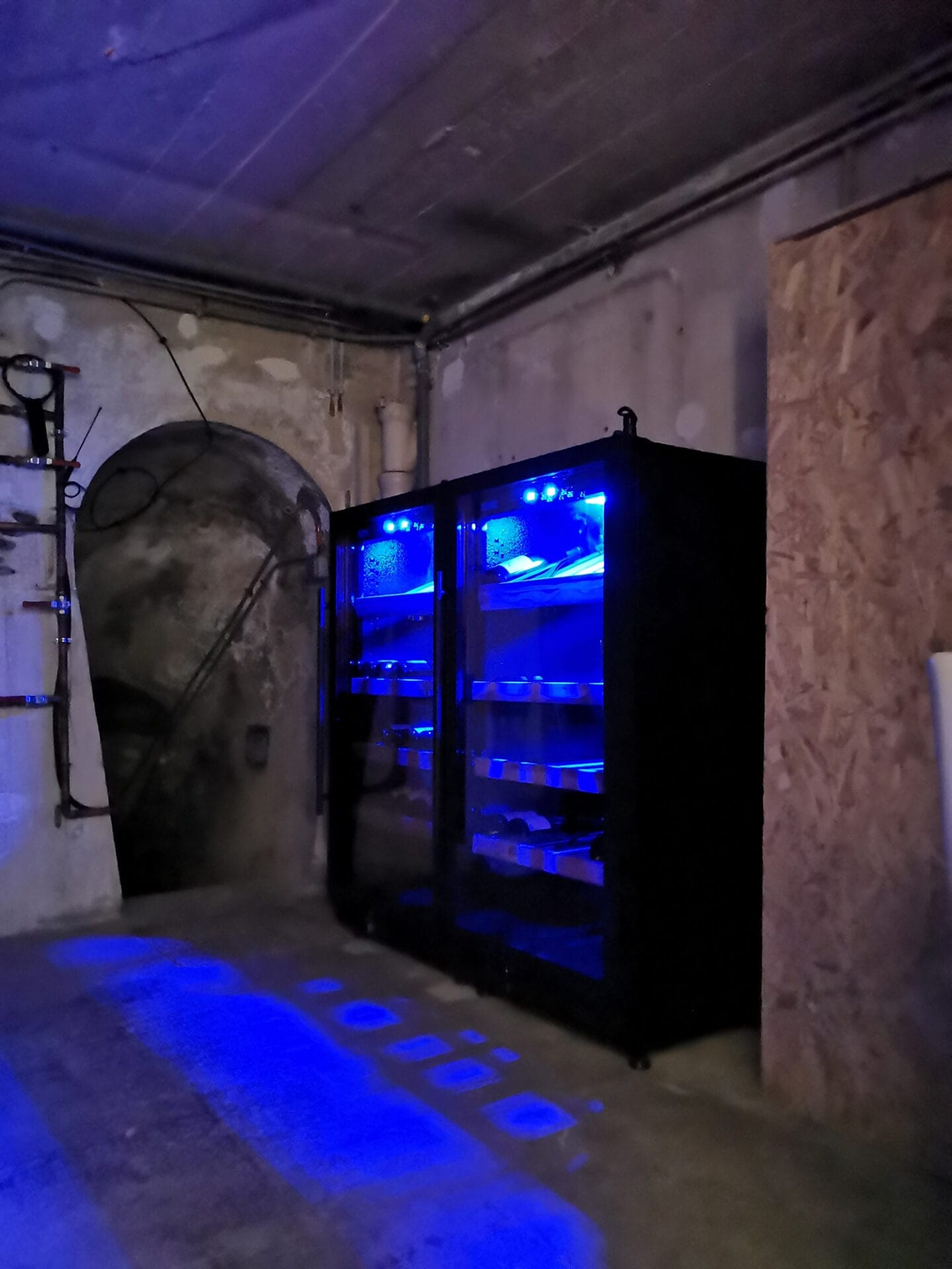 Een wijnkelder voorzien van twee wijnbewaarkasten, met blauwe verlichting in een donkere, onafgewerkte kelder.