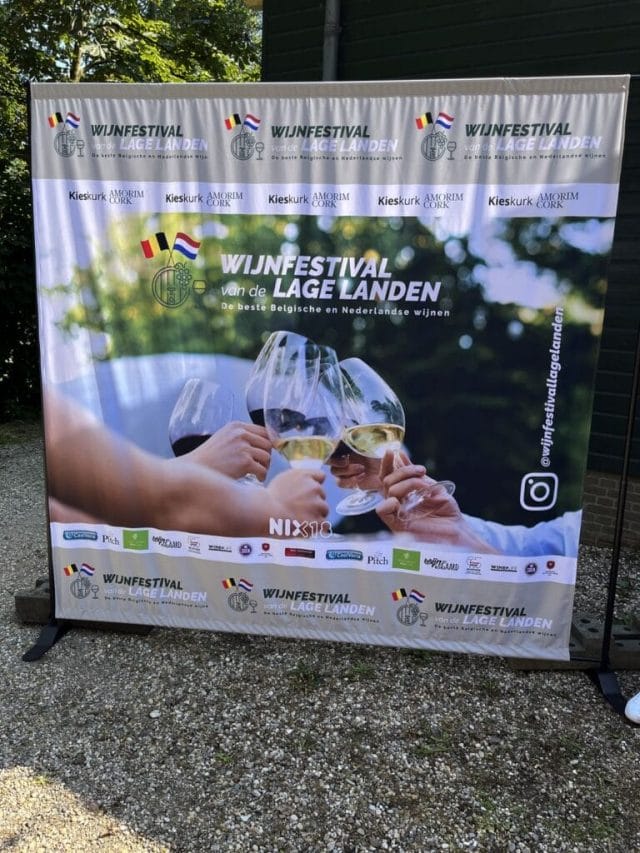Banner for a wine festival with clinking wine glasses and details of the event, against a green background.